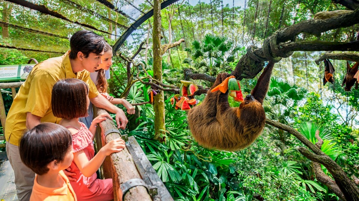 參觀園内一些熱門自然和野生動物(wù)景點，您還可(kě)能(néng)結交到新(xīn)朋友！