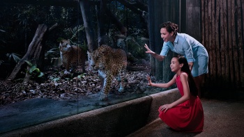 一家人在新(xīn)加坡夜間野生動物(wù)園觀看老虎飼養區(qū)