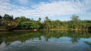 新(xīn)加坡植物(wù)園内的天鵝湖(hú)