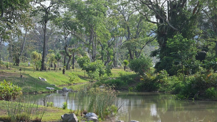 裕廊湖(hú)花(huā)園内的 Neram 小(xiǎo)溪景觀