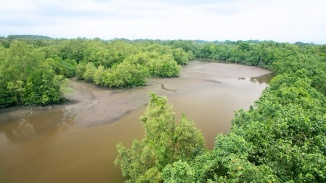 雙溪布洛濕地保留區(qū) (Sungei Buloh Wetland Reserve) 的鳥瞰鏡頭